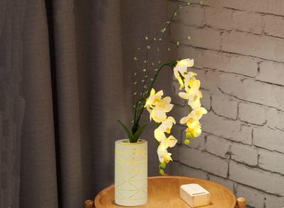 China LED simulation Phalaenopsis vase lamp interior decorator warm light small night light seven color flowers for sale