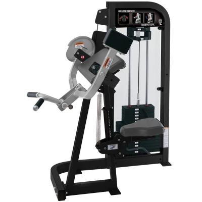 China Universal Made in China Professional Gym Machine Power Gym Equipment BICEPS LOOP RUIBU-A003 for sale