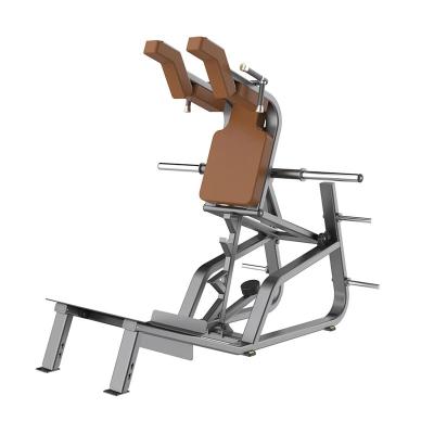 China Best Design Home Use Fitness Machine Multi Use Commercial Linear Squatting Leg Press / Notch Gym Equipment for sale