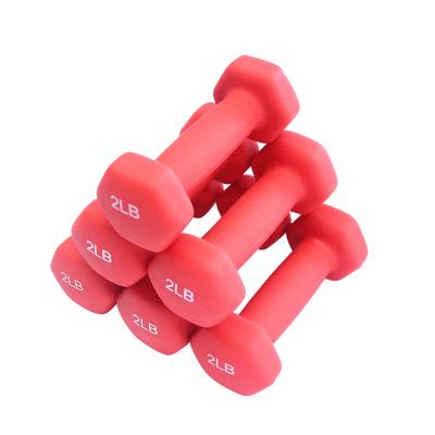 China Bodybuilding Grade Hexagonal Hex Arc Dip First Class Plastic Dumbbell for sale