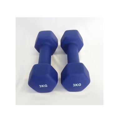 China Hot Selling Dumbbell Fitness Kg Weight Handle Color Straight PVC Plastic Dip Coated Dumbbell for sale