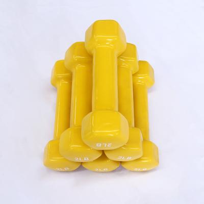 China Plastic Dip In The Dumbbell Cheap Cast Iron Straight Hex Dumbbell Glossy Grip for sale