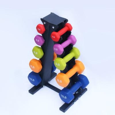 China Plastic Immersion In The Hot Selling Dumbbell Women Fitness 2,3,5,8,10lb Gym Equipment Dumbbell Set for sale