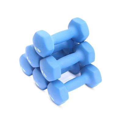 China Competitive Price Hexagonal Bodybuilding Bow Dull Polish Dip Plastic Dumbbell for sale