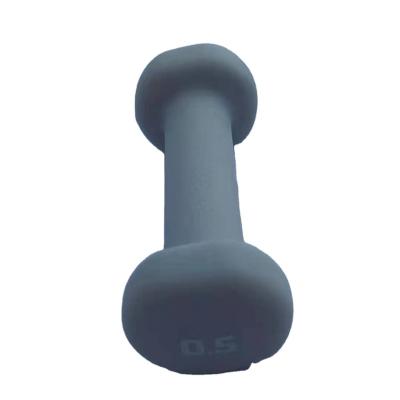 China China factory good quality small head small flat head dumbbells size plastic dumbbell for sale