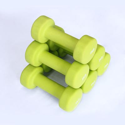 China Competitive Price Good Quality Small Flat Head Fitness Dip Small Plastic Dumbbell for sale