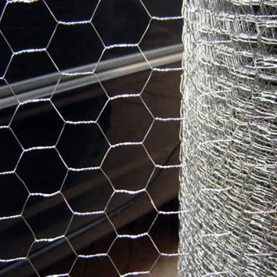 China Dutch weave 25mm cheap chicken wire/rabbit wire mesh/galvanized hexagonal wire mesh for sale