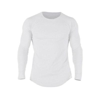 China Hot Sale Breathable Sports Wear Long Sleeve Plus Size Shirt Custom Muscle Fit Men's Workout Gym T-Shirts for sale