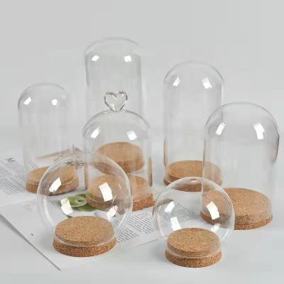 China China Clear Conventional Antique Round Cylinder Flower Glass Dome For Decoration With Cork Wooden Base for sale