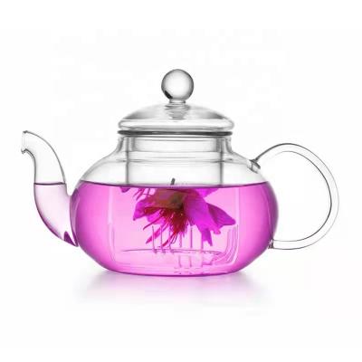 China WITH LID Wholesale Heat Resistant Borosilicate Tea Maker Glass Teapot Clear Glass Tea Cup Set for sale