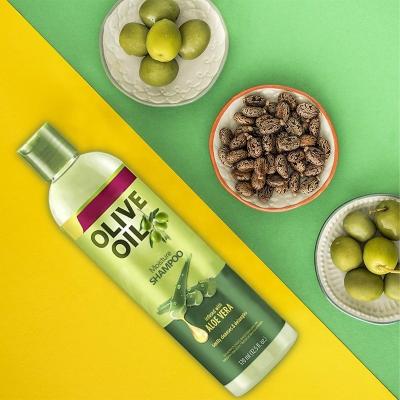 China Adults Oem Hair Growth Olive Oil Shampoo for Anti-dandruff and Soft Refreshing Hair Care for sale