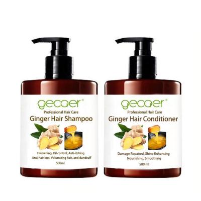 China Adults Anti Hair Loss Growth Shampoo Herbal Organic Hair Care Private Label Ginger Shampoo for sale