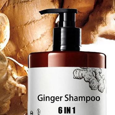 China Shampoo de jengibre orgánico contra la pérdida de cabello para hombres y mujeres Unisex Adultos Cuidado del cabello vegano en venta