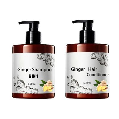 China Organic Oil Control Ginger Shampoo for Unisex Adults in Hair-Repairing Hair Care Set for sale