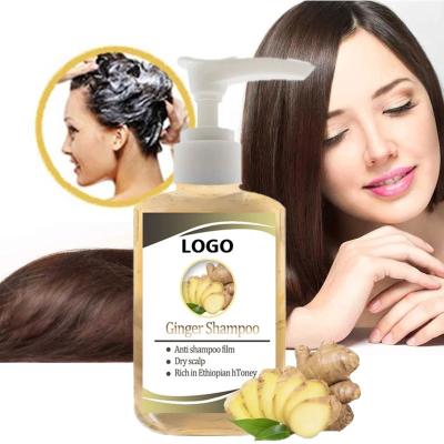 China Ausgleichen Privatetikett Custom Vegan Haarpflege Behandlungsprodukte Haarwachstum Bio Anti Haarausfall Ingwer Shampoo und Conditioner Set zu verkaufen