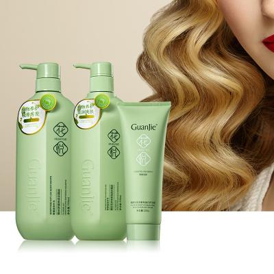 China Ingredients Hair Care With Organic Argan Oil Nourishing Hair Shampoo And Conditioner for sale