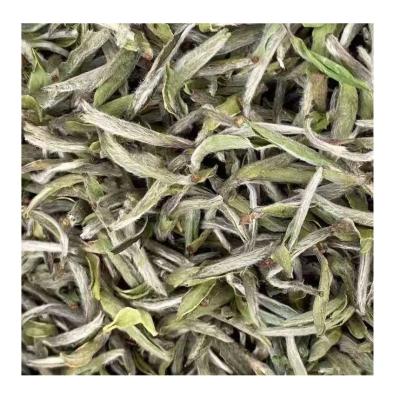 China Wholesale 2021 Princess Shao White Sterile Mountain Cake Tea Tree Tea Tree Peony Chose Organic Rich Taste White Tea Tea Cakes for sale