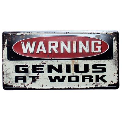 China Beach Home Warning Kind Dream Genie Retro Work Vintage Metal Tin Sign Souvenir License Plates Nostalgia Embossed License Plates for sale