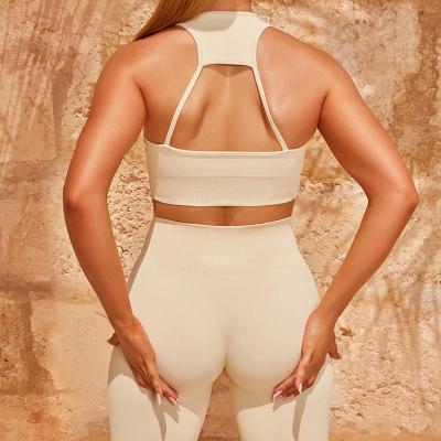 China Breathable 2022 Yoga Set Ribbed Women Fitness Activewear Bra And 2 Piece Sports Leggings Set Solid Color Gym Fitness Sets Clothing for sale