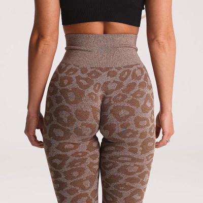 China New Arrival Breathable Leggings High Waist Workout Push Up Leopard Print Seamless Leggings For Women for sale