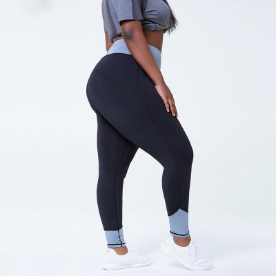 China Black breathable color design patchwork high waist woman yoga pants 4X plus size leggings for fat women for sale