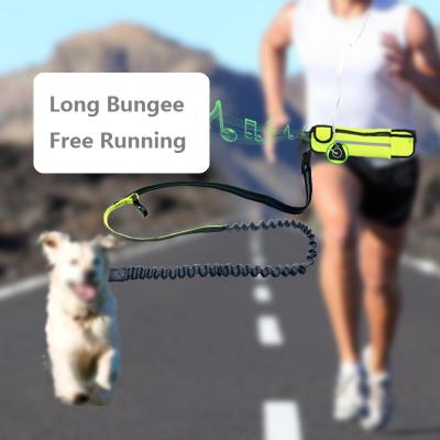 China Dog Bungee Durable Nylon Reflective Leash With Waist Bag For Running Dog Training 170121027 for sale