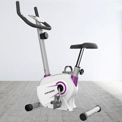 China Hot Sale Home Use Exercise Fitness Magnetic Resistance Bike Workout Indoor Spinning Exercise Bike Te koop