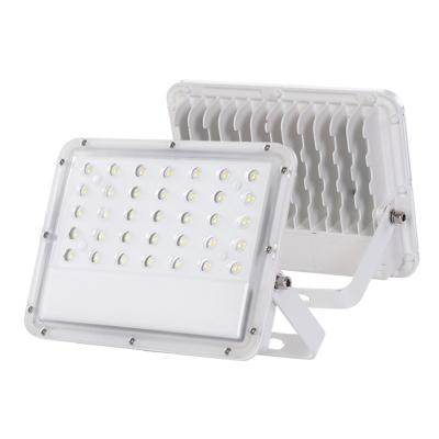 China New Commercial Dimmable 48V Color Led Flood Light for sale