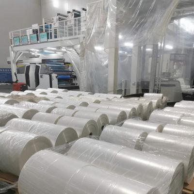 China Moisture Proof Multiple Layer EVOH Plastic Sheet Coextrusion High Barrier Film Roll for sale