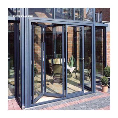 China Magnetic Screen Manufacturer Customized Balcony Horizontal Folding Skillful Window And Door for sale