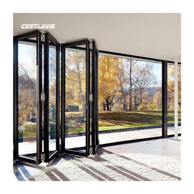 China Magnetic Screen New Arrival OEM Easy To Use Aluminum Sliding Folding Window And Door for sale