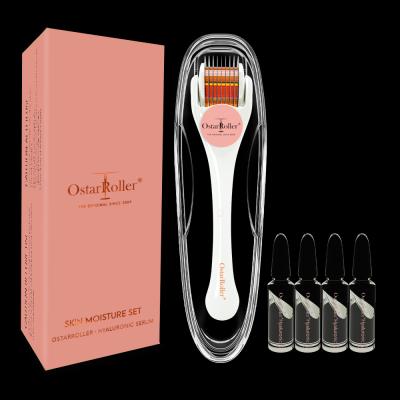 China Anti-Puffiness Micro Dermaroller Private Label Microneedle Skin Care Derma Roller Kit 0.25mm Needle With 540 Serum 1.5ML Hydra Roller Set for sale