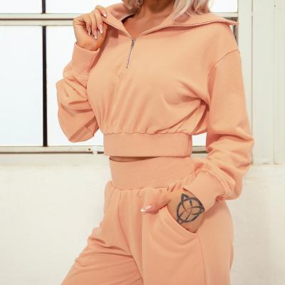 China Anti-Wrinkle Zipper Design Sports Vest Two Piece Sweatshirt Women Cotton Tracksuits Sport Set 100% Girls Teen Jogging Jogging Tracksuit for sale