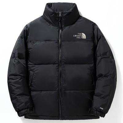 China Anti-wrinkle Casual Man Plus Size 800 Warm Custom High Rise Black Fill Down Jacket for sale