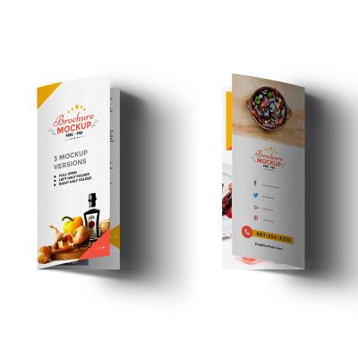 China OEM Styles Printing /Catalogs/ Brochures/Flyer Printing Service for sale