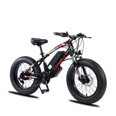 China Steel electric bicycle for men and women, 20 inch, 21 speed mountain bike, high carbon steel electric vehicle, high power, 350W for sale