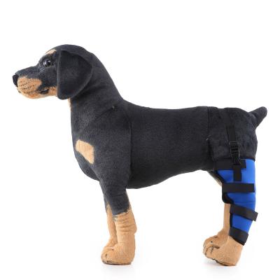 China Good Quality Knee Support Brace Stocked Knee Pads For Joint Injury Hock Wrap Recover Legs Dog for sale