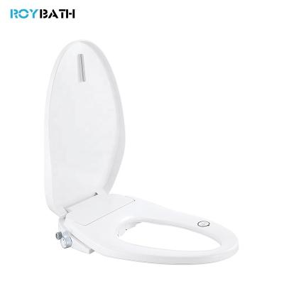 China Bidets Electronic Intelligent Toilet Bidet Double Spout Wash With Brushing for sale