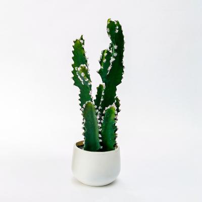 China Large Cactus Modern Artificial Potted Plants Simulation Succulent Plants For Indoor And Outdoor Decoration for sale