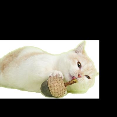 China Hot Sale Cute Acorn Catmint Pet Toys 3 Pcs Chew Cleaning Toy Durable Bite-Resistant Catmint Teeth for sale