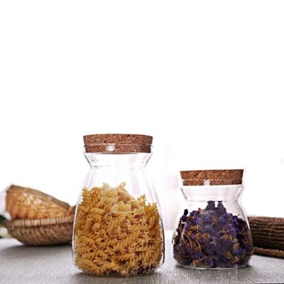 China Household Products 900ML Different Size Borosilicate Storage Bottle Glass Jar High With Cork for sale