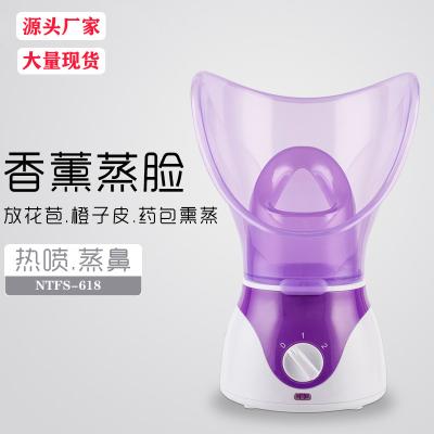 China Professional Portable Ionic Nano Mist Sprayer Electric Hydrating Face Moisturizer Beauty Face Cream Steamer Facial Steamer for sale