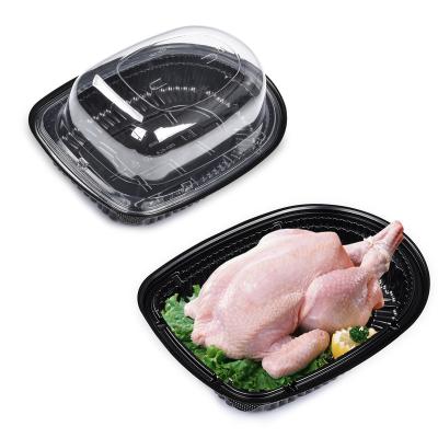 China Sunzza Food Grade PP Disposable Materials Oval Shaped Fresh Chicken Plastic Packaging for sale