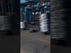 Annealed stainless steel wire fine wire