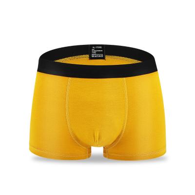 China 2022 Men's Underwear Spring Comfortable Breathable Super-elastic Shorts Antibacterial Black Briefs/Summer New Product for sale