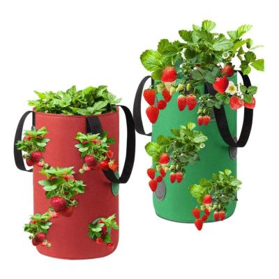 China High Quality Material Growing Hanger Bag Planting Bags 3 Gallon 5 Gallon 7 Gallon Strawberry Grow Bags With 12 Grow Pockets for sale