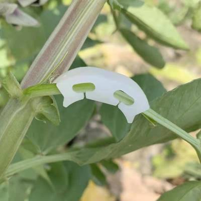 China Tomato Clips Garden Vine Clips Plant Support Garden Trellis Clips Tomato Clips For Make Plants Healthier for sale