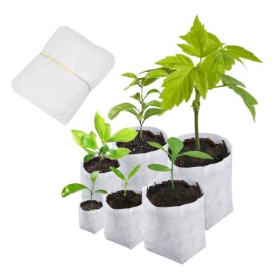 China Durable Cloth Seedling Plant Grow Bags Nursing Pouch Nonwoven Seedling Growing Plant Nursery Bag Biodegradable for sale