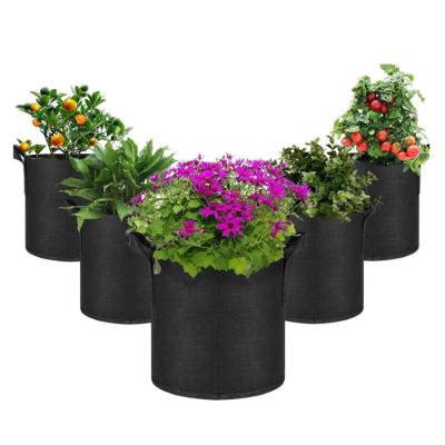 China Plant Growth 3 7 25 Gallon Grow Bag Tree Grow Sack Nursery Aeration Cloth Growing Pots For Plant Container for sale