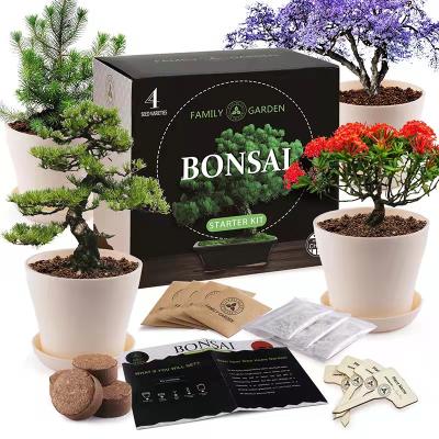 China Eco-Freindly Kit Indoor Herb Garden Starter Kit Herb Plant Grow Kit Gardening Home Gardening Gifts for Women and Men for sale